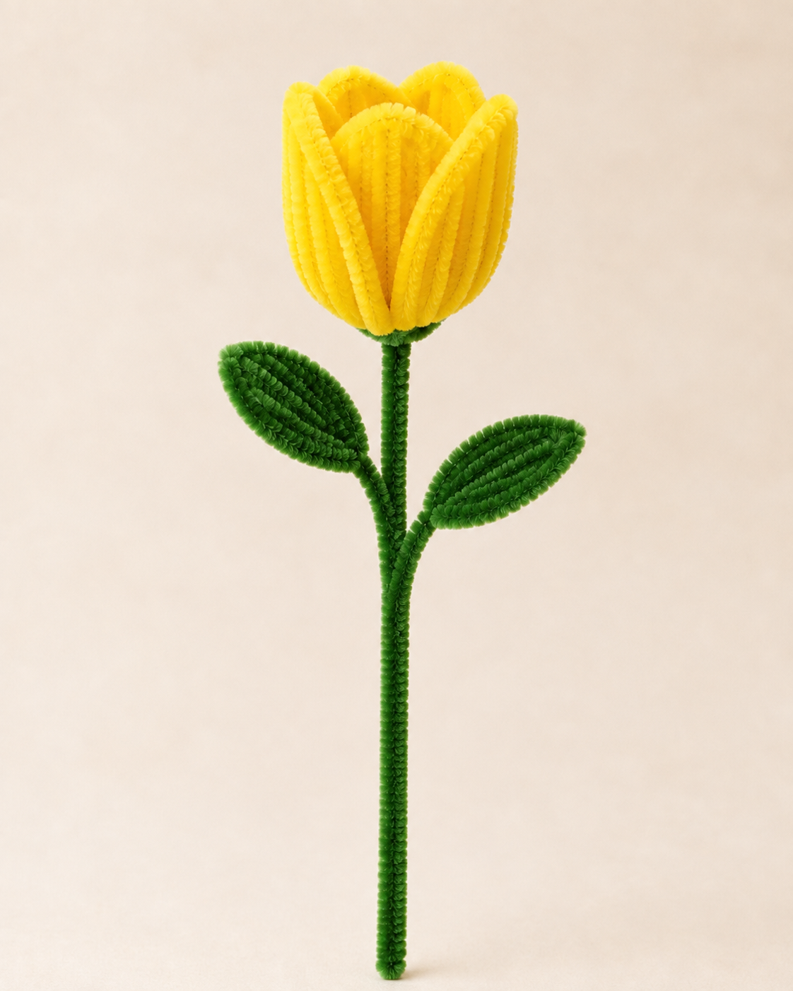 Pipe Cleaner Tulip