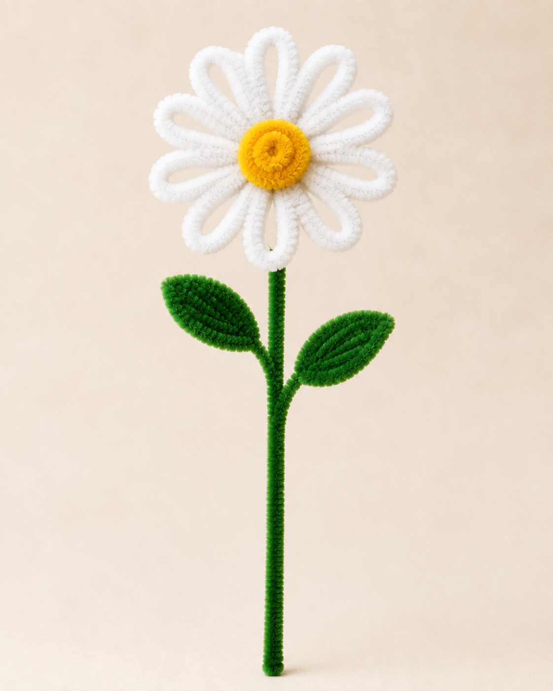 Pipe Cleaner Daisy