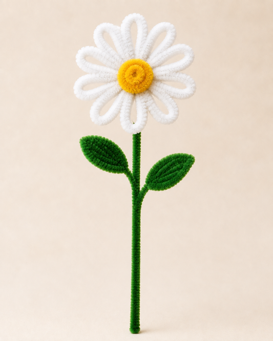 Pipe Cleaner Daisy
