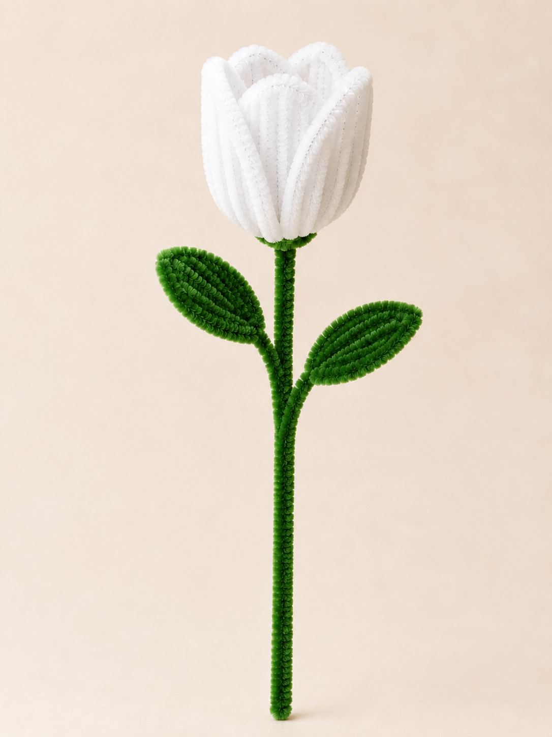 Pipe Cleaner Tulip