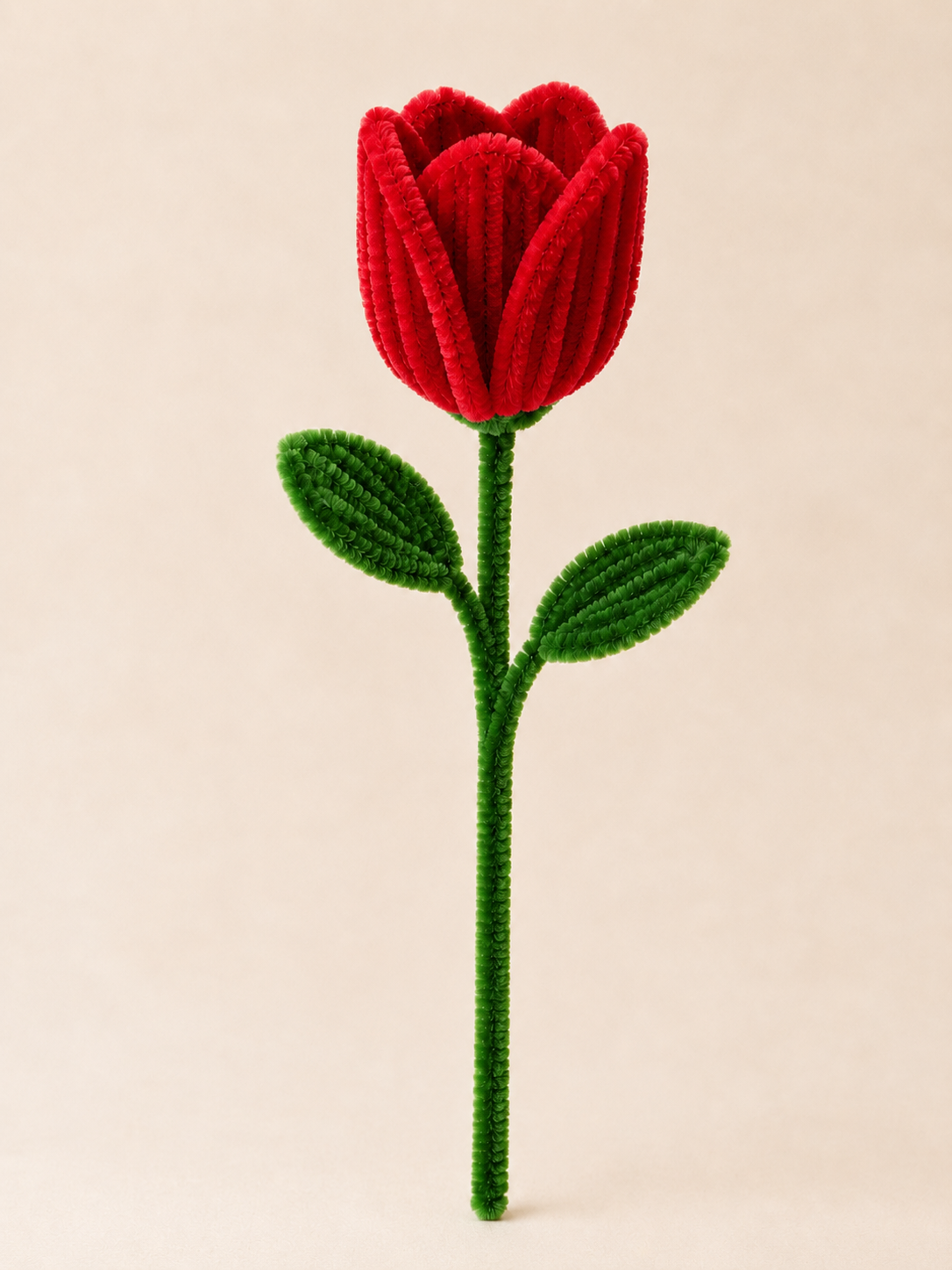 Pipe Cleaner Tulip
