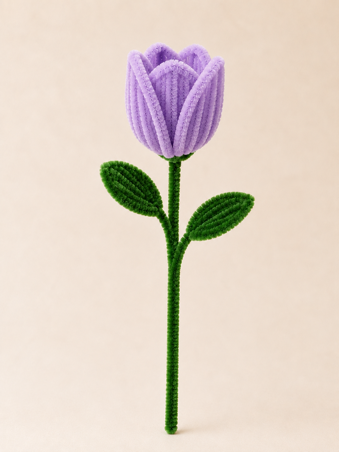 Pipe Cleaner Tulip