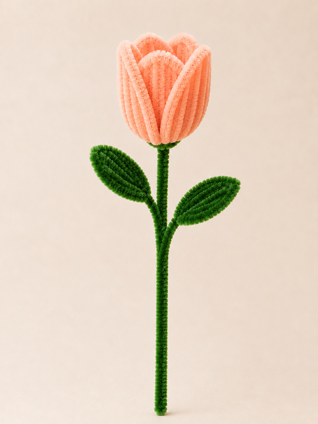 Pipe Cleaner Tulip