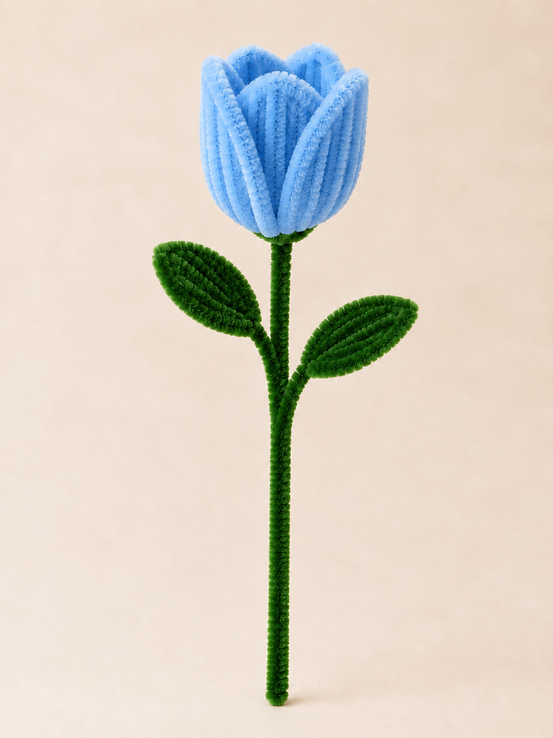 Pipe Cleaner Tulip
